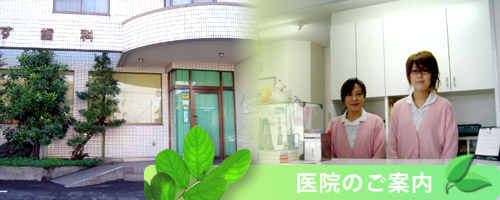 碧南市 歯医者 インプラント 歯周病 入れ歯